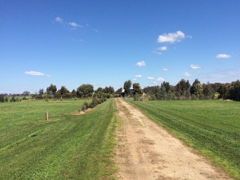 393 Humberts Road, Calivil VIC 3573