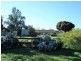 Waitchie Street, Wedderburn VIC 3518
