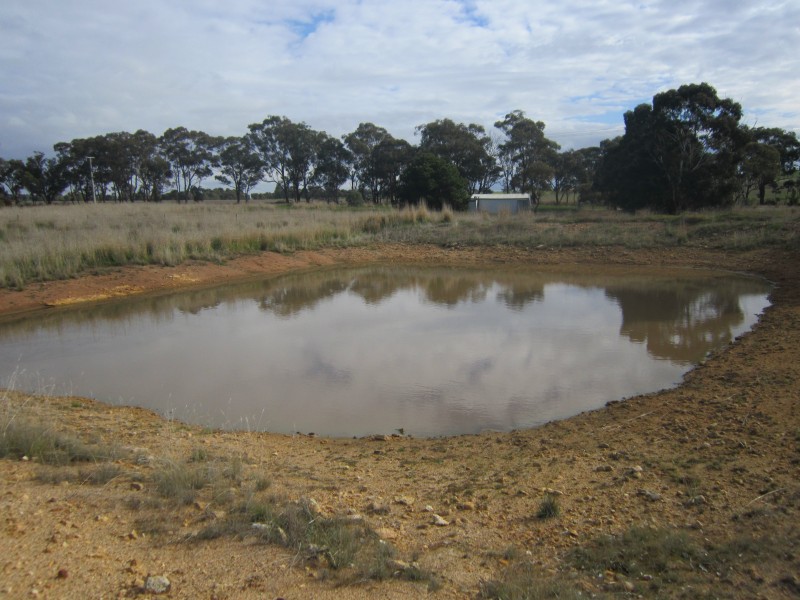 561 Bradford Road, Shelbourne VIC 3463