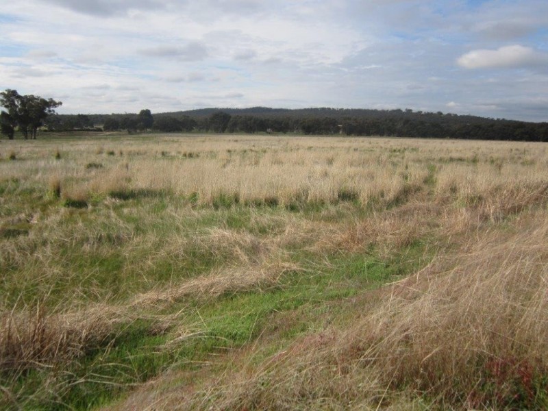 561 Bradford Road, Shelbourne VIC 3463