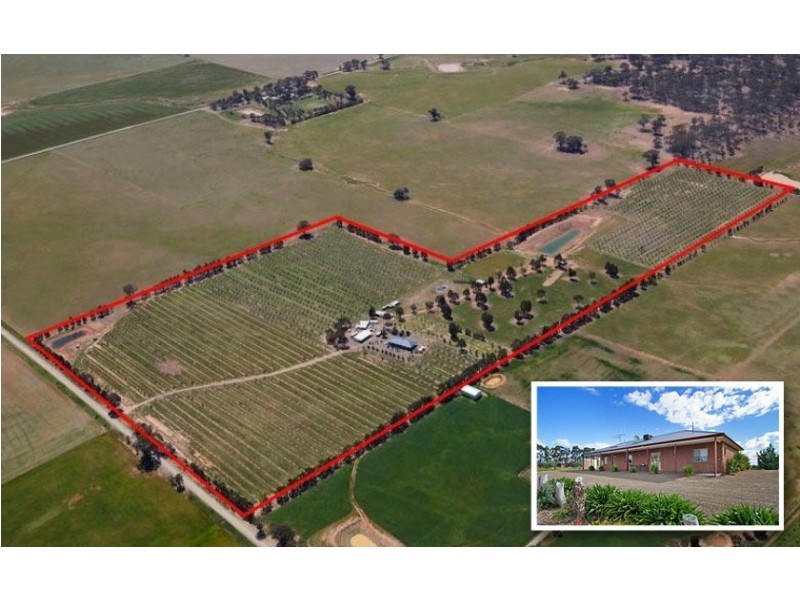 260 Neivandts Road, Shelbourne VIC 3463