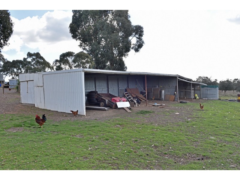 260 Neivandts Road, Shelbourne VIC 3463
