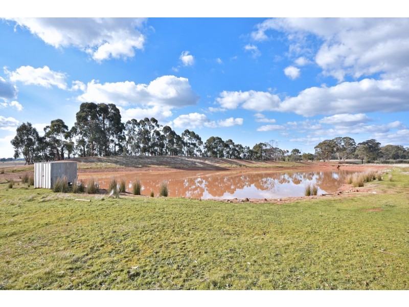 260 Neivandts Road, Shelbourne VIC 3463