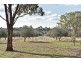 260 Neivandts Road, Shelbourne VIC 3463