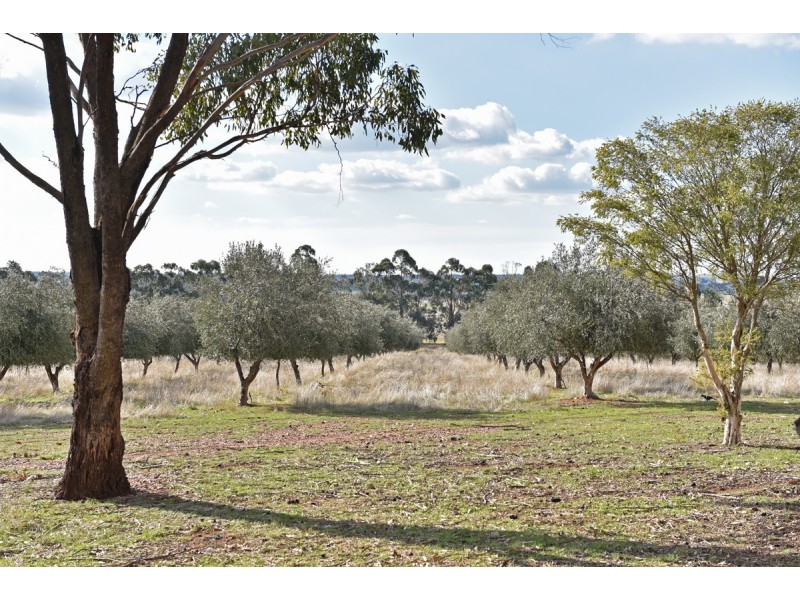 260 Neivandts Road, Shelbourne VIC 3463