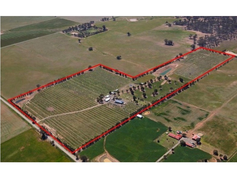 260 Neivandts Road, Shelbourne VIC 3463