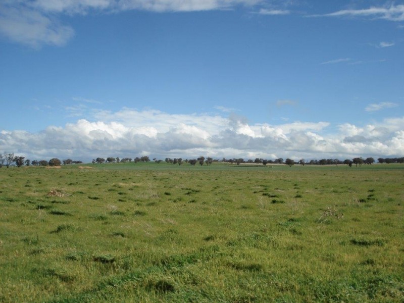 Slaty Creek VIC 3477