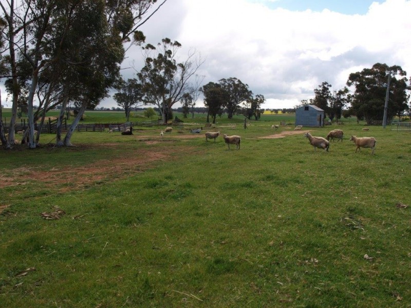 Slaty Creek VIC 3477