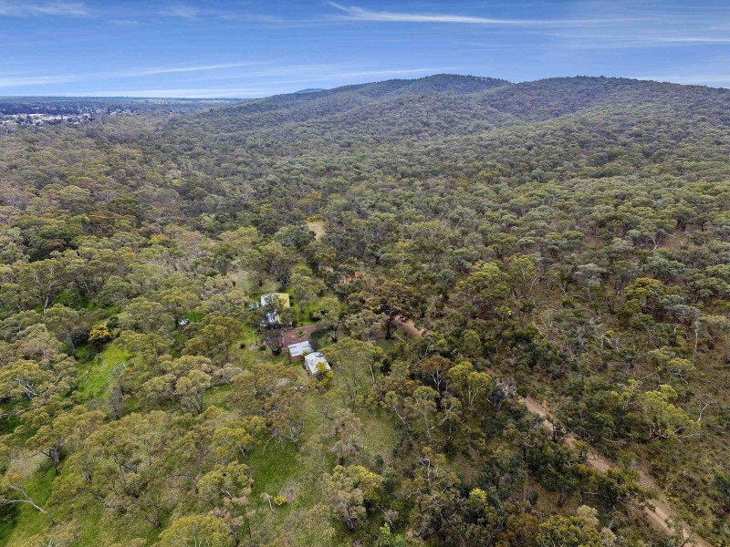 81 Forest Drive, Heathcote VIC 3523