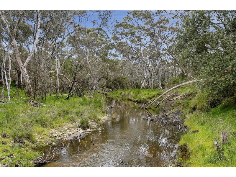 81 Forest Drive, Heathcote VIC 3523