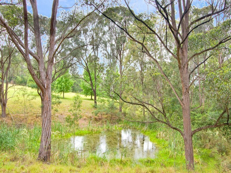 42 Vincent Road, Kurrajong NSW 2758