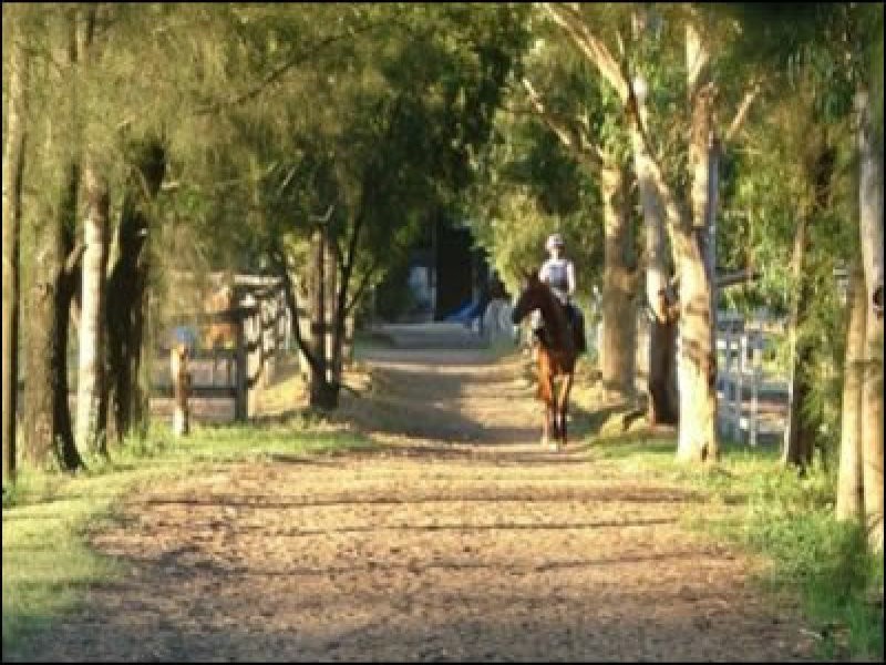 7 Rickaby Street, Clarendon NSW 2756