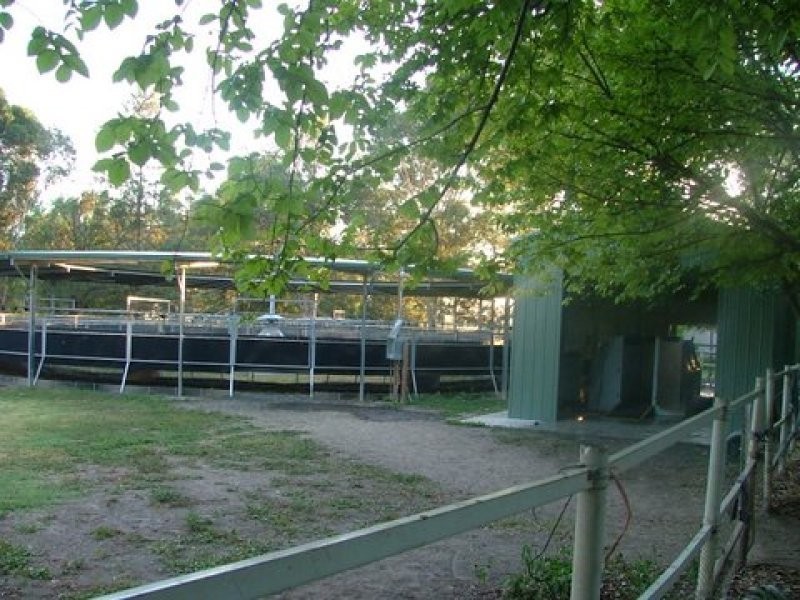 7 Rickaby Street, Clarendon NSW 2756