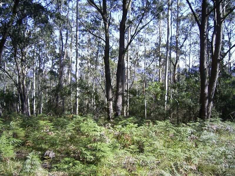 20 Wynnes Lookout Road, Mount Wilson NSW 2786