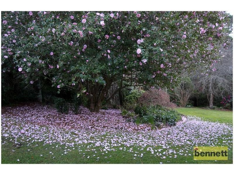 1211B Bells Line of Road, Kurrajong Heights NSW 2758