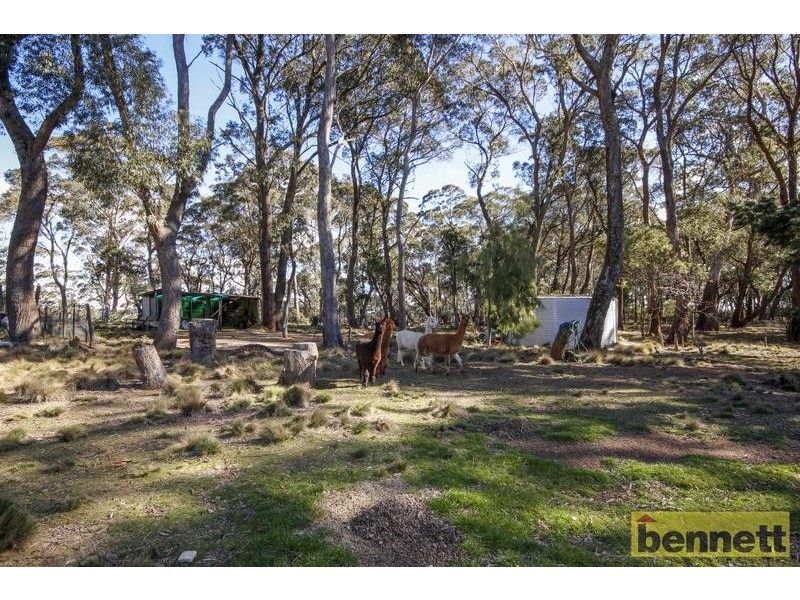 199 Donald Road, Clarence NSW 2790