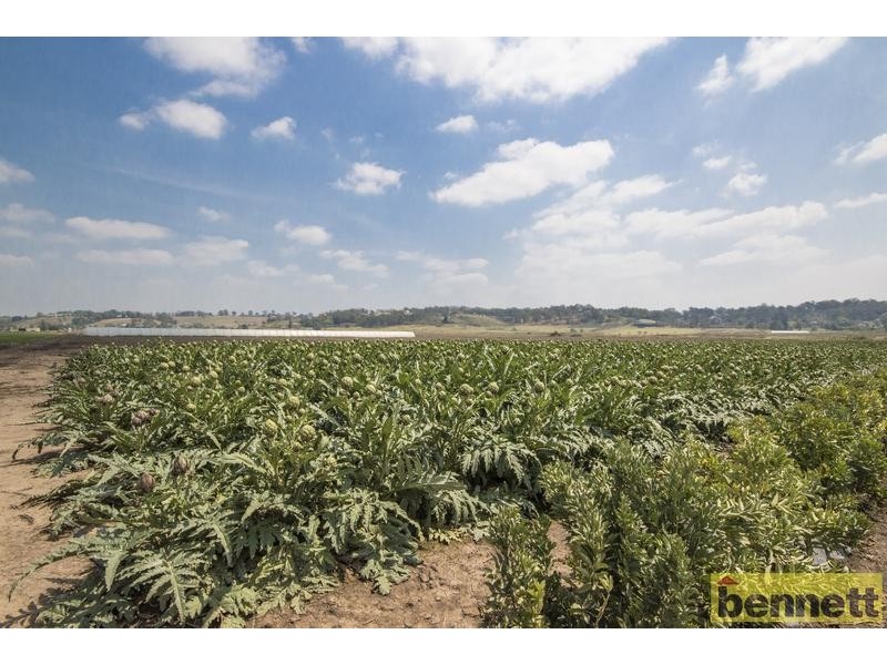 100 Gorricks Lane, Freemans Reach NSW 2756