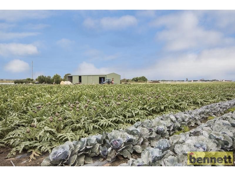 100 Gorricks Lane, Freemans Reach NSW 2756