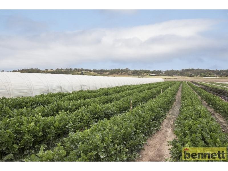 100 Gorricks Lane, Freemans Reach NSW 2756