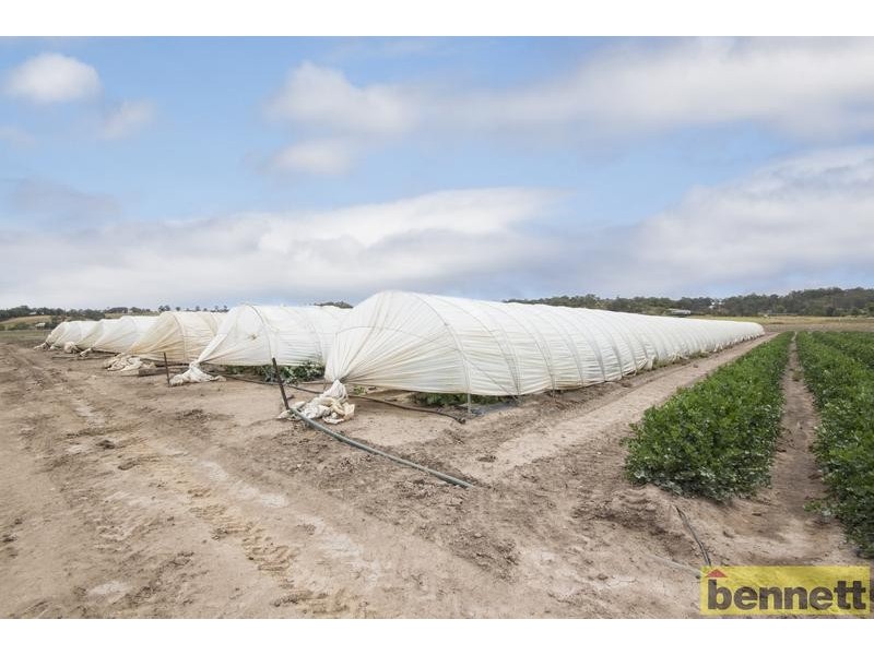 100 Gorricks Lane, Freemans Reach NSW 2756