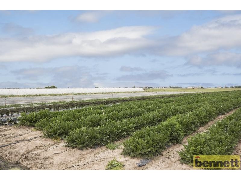 100 Gorricks Lane, Freemans Reach NSW 2756