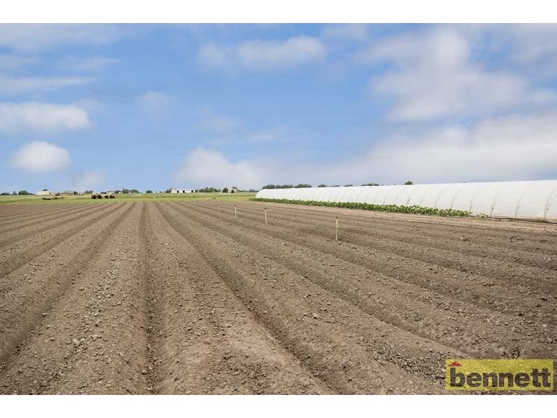 100 Gorricks Lane, Freemans Reach NSW 2756