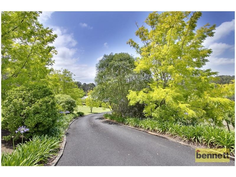 77 Comleroy Road, Kurrajong NSW 2758