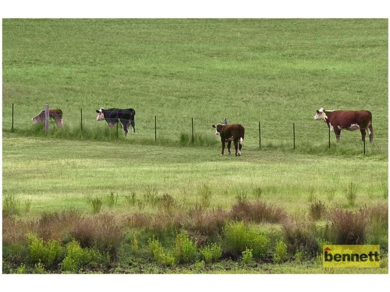 372 West Portland Road, Sackville NSW 2756