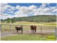 372 West Portland Road, Sackville NSW 2756