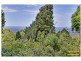 1196 Bells Line of Road, Kurrajong Heights NSW 2758