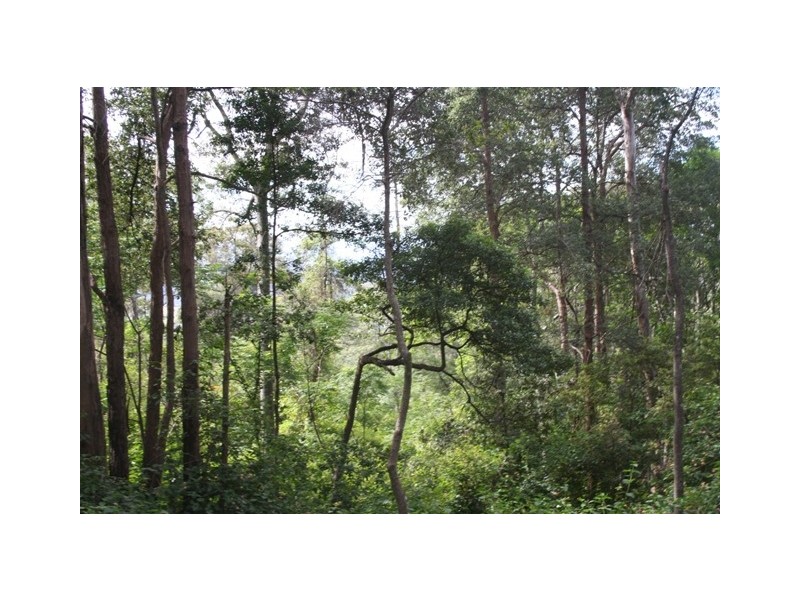 52 Gunbower Road, Bowen Mountain NSW 2753