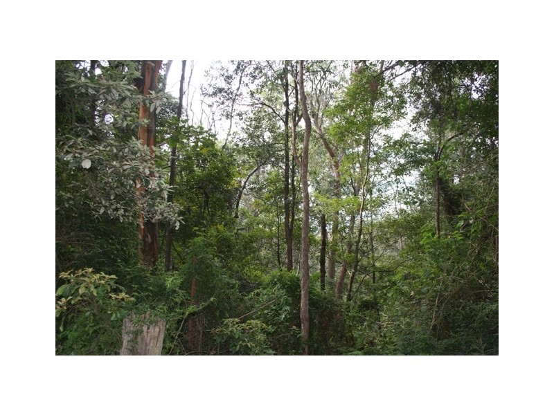 52 Gunbower Road, Bowen Mountain NSW 2753