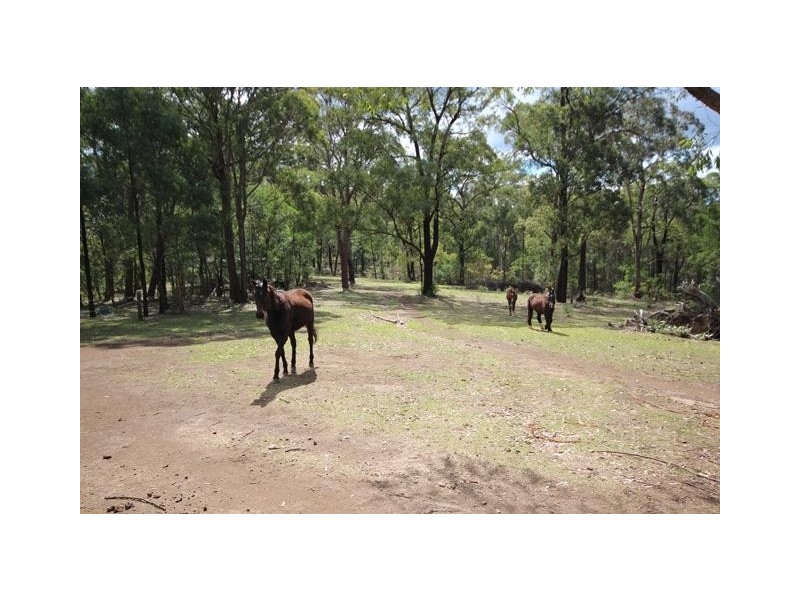 69 Barina Drive, Colo Heights NSW 2756