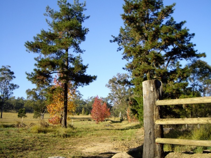 66 Uworra Road, Wilberforce NSW 2756