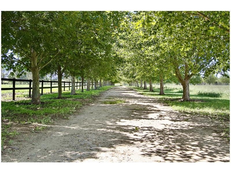 232 Cornwallis Road, Windsor NSW 2756