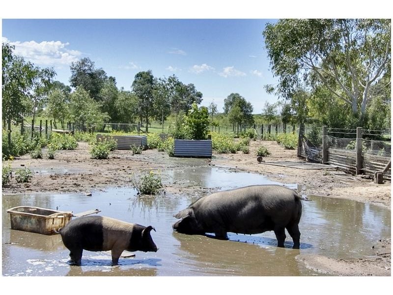 232 Cornwallis Road, Windsor NSW 2756