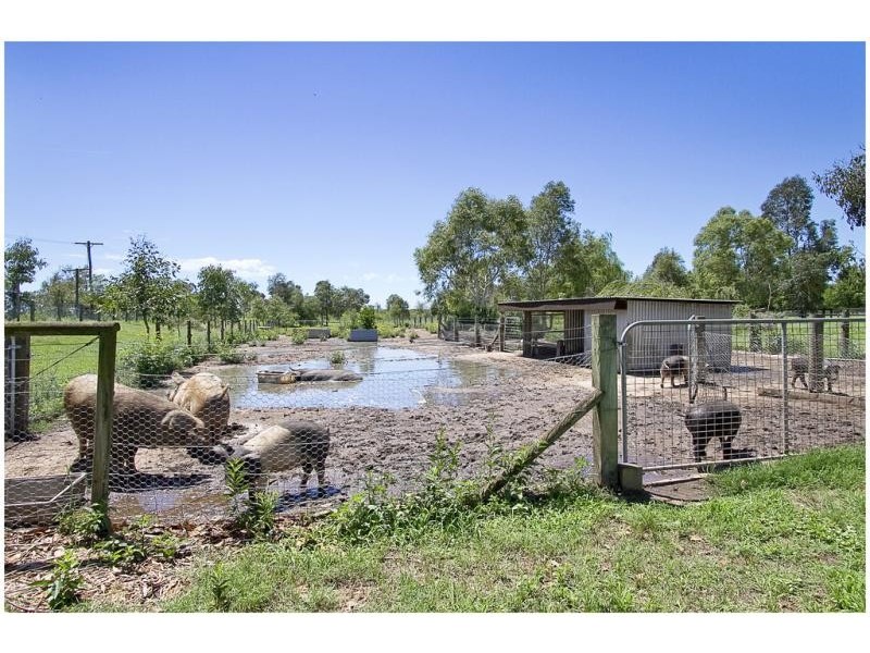 232 Cornwallis Road, Windsor NSW 2756