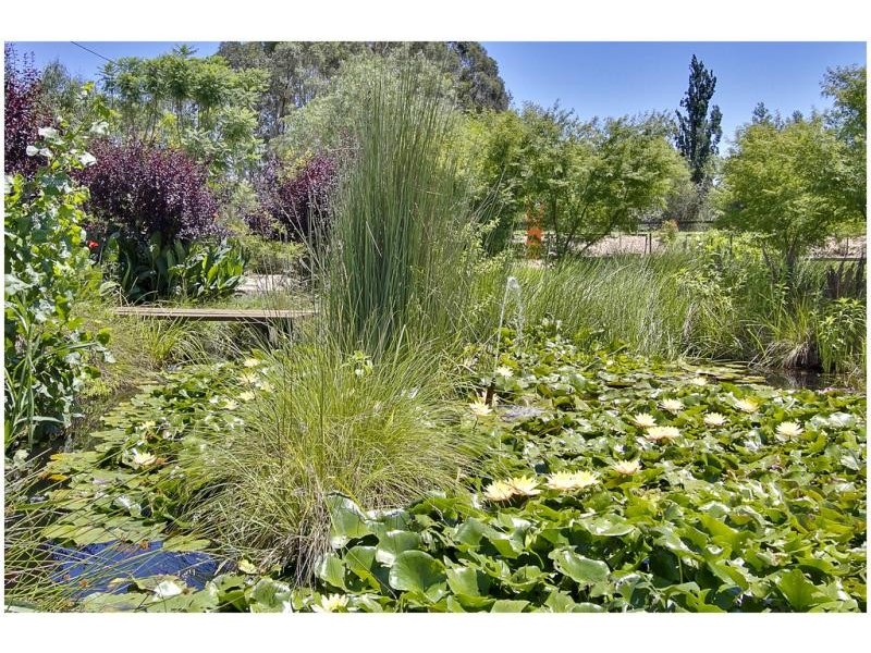 232 Cornwallis Road, Windsor NSW 2756