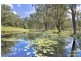 132 Cabbage Tree Road, Grose Vale NSW 2753