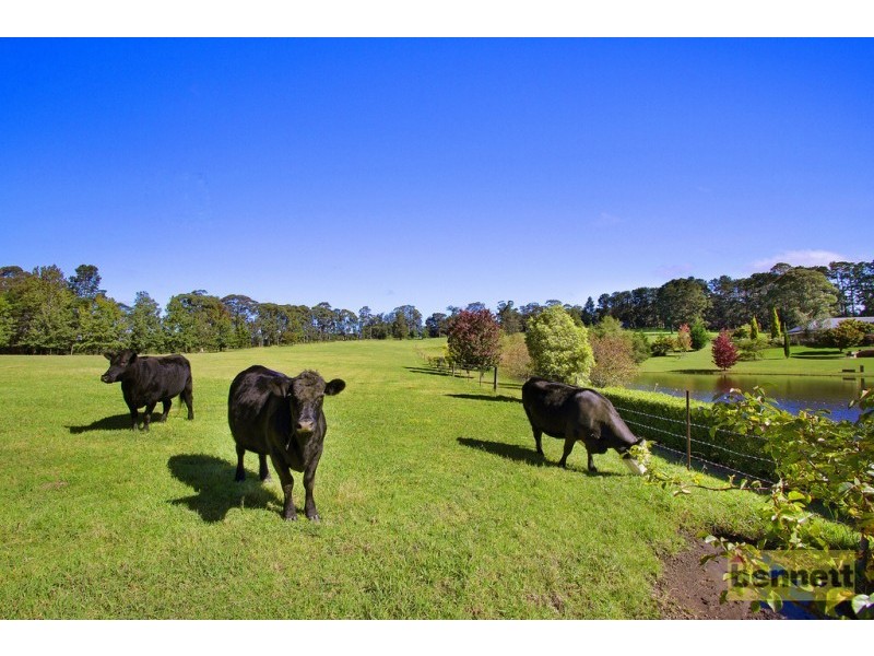 27 Mountain Lagoon Road, Bilpin NSW 2758