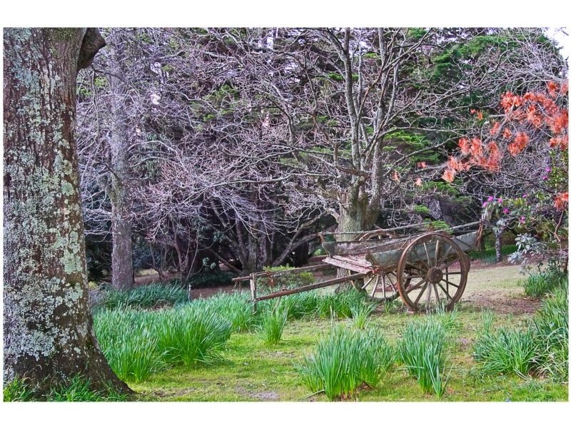 3/1 Burralow Road, Kurrajong Heights NSW 2758