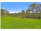 157 Diamond Hill Drive, Kurrajong NSW 2758