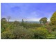 1224 Bells Line Of Road, Kurrajong Heights NSW 2758