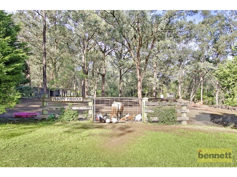 115 Mountain Avenue, Yarramundi NSW 2753