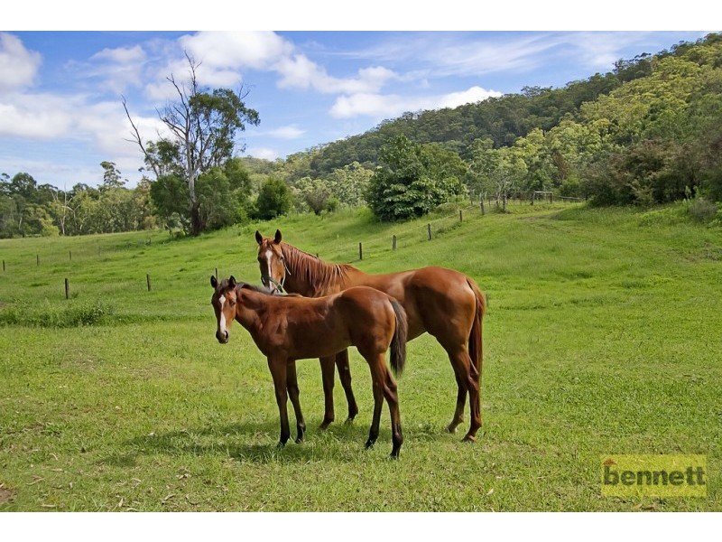 91 Upper Colo Road, Colo NSW 2756