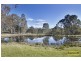 135 East Kurrajong Road, Kurrajong NSW 2758