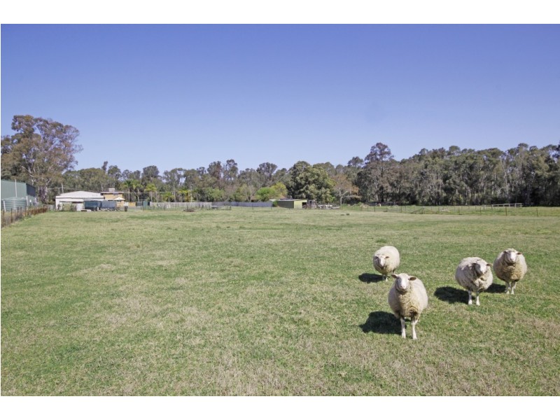 194 Grange Avenue, Schofields NSW 2762