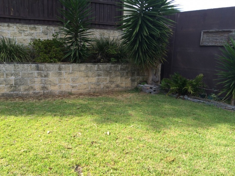 31 Karri Place, Parklea NSW 2768