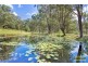 132 Cabbage Tree Road, Grose Vale NSW 2753