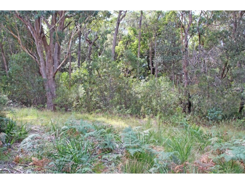 131 Burralow Road, Kurrajong Heights NSW 2758